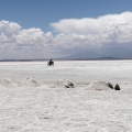 Bolivie : le Salar d'Uyuni.