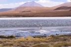 Les lagunes.