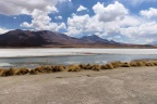 Les lagunes.