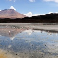 Les lagunes.