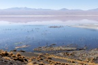 La laguna Colorada.