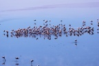 La laguna Colorada.