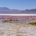 La laguna Colorada.