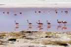 La laguna Colorada.