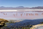 La laguna Colorada.