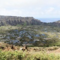 Le cratère du Rano Kau.