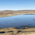 Sur la route de Chucuito.