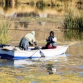 Le lac Titicaca.