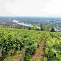 Joigny.
