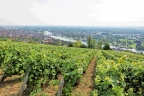 Joigny. (9491 visits) Joigny.