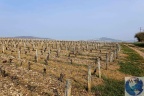 Ménétréol sous Sancerre.