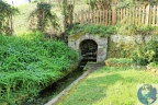 Ménétréol sous Sancerre.