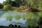 Chamouille, plan d'eau.