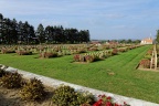 Cerny-en-Laonnois, nécropole.