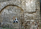 Laon.