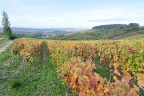 Irancy et les environs.