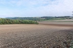 Irancy et les environs.