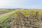 Irancy et les environs.