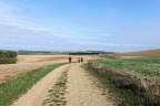 Irancy et les environs.