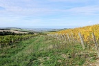 Irancy et les environs.