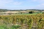 Irancy et les environs.