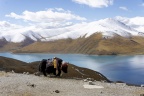 Lac Yamzho Yumco depuis le col du Kamba-La.