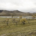 En route vers le parc de Terelj (Mongolie).