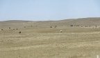 En train vers la Chine. Le désert de Gobi (Mongolie).