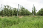 La Charité sur Loire.