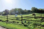 Randonnée autour de Yèvre le Chatel.