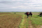 Randonnée autour de Yèvre le Chatel.