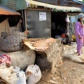Village de Prek Tacheng : séchage et fermentation du poisson.