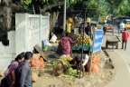 Prise de contact avec la vie trépidante de l'inde.