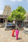 Kanchipuram, temple de  Sri Ekambaranathar.