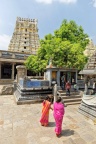 Kanchipuram, temple de  Sri Ekambaranathar.