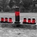 Linga au foulard rouge.