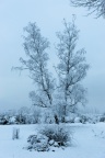 Nargis, paysage de neige.