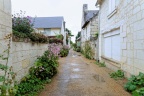 Promenade au coeur du Parc Naturel Loire-Anjou-Touraine