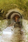 Abbaye de Fontevraud.