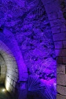 Abbaye de Fontevraud.