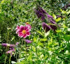 Festival des jardins