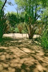 Festival des jardins