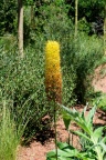 Festival des jardins