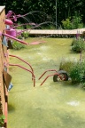 Festival des jardins