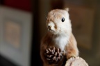 Château de Rosa Bonheur. Animal empaillé.