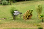 Festival des oiseaux.
