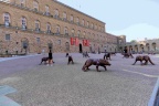 Palais Pitti. Les loups sont dans Florence !