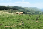 Petite randonnée dans les Hautes-Pyrénées.