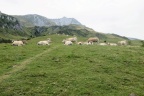 Petite randonnée dans les Hautes-Pyrénées.
