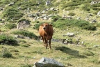 Petite randonnée dans les Hautes-Pyrénées.